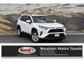 2019 RAV4 XLE AWD #1