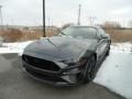 2019 Mustang GT Fastback #1