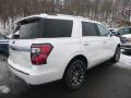 2019 Expedition Limited 4x4 #2