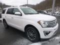 2019 Expedition Limited 4x4 #3