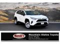 2019 RAV4 LE AWD #1