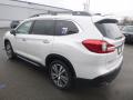2019 Ascent Touring #6