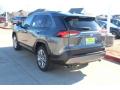 2019 RAV4 Limited #6