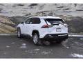 2019 RAV4 XLE AWD #3 2019 RAV4 XLE AWD #3