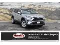 2019 RAV4 XLE AWD #1 2019 RAV4 XLE AWD #1