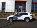 2019 RAV4 XLE AWD #2 2019 RAV4 XLE AWD #2