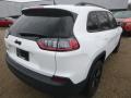 2019 Cherokee Latitude Plus 4x4 #5 2019 Cherokee Latitude Plus 4x4 #5