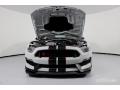 2017 Mustang Shelby GT350R #3