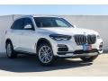 2019 X5 xDrive40i #12