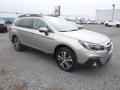 Front 3/4 View of 2019 Subaru Outback 3.6R Limited #1