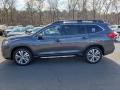 2019 Ascent Limited #3