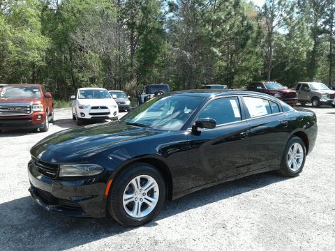 Pitch Black Dodge Charger SXT.  Click to enlarge.