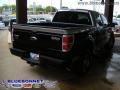 2009 F150 FX4 SuperCrew 4x4 Regency Remington #10 2009 F150 FX4 SuperCrew 4x4 Regency Remington #10