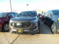 2019 Edge ST AWD #1 2019 Edge ST AWD #1