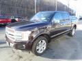 2018 F150 Platinum SuperCrew 4x4 #5