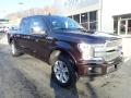 2018 F150 Platinum SuperCrew 4x4 #7
