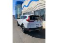 2019 CR-V Touring AWD #7