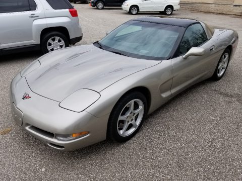 Quicksilver Metallic Chevrolet Corvette Coupe.  Click to enlarge.