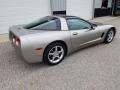 2001 Corvette Coupe #4