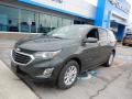 2019 Equinox LT #1