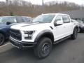 2019 F150 SVT Raptor SuperCrew 4x4 #2
