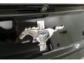 2017 Mustang V6 Convertible #25