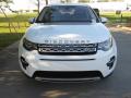 2019 Discovery Sport HSE #9