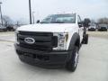 2019 F550 Super Duty XL Regular Cab 4x4 Chassis #1