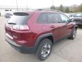 2019 Cherokee Trailhawk 4x4 #5 2019 Cherokee Trailhawk 4x4 #5