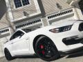 2016 Mustang Shelby GT350R #19