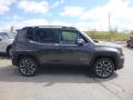 2019 Renegade Limited 4x4 #6