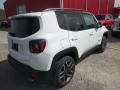 2019 Renegade Limited 4x4 #5