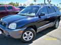 2004 Santa Fe GLS 4WD #1