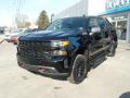 2019 Silverado 1500 Custom Z71 Trail Boss Crew Cab 4WD #3 2019 Silverado 1500 Custom Z71 Trail Boss Crew Cab 4WD #3