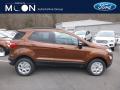 2019 EcoSport SE 4WD #1
