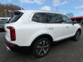  2020 Kia Telluride Snow White Pearl #2