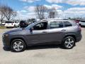 2019 Cherokee Limited 4x4 #3 2019 Cherokee Limited 4x4 #3