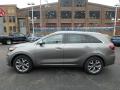  2019 Kia Sorento Titanium Silver #6