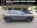 2017 Cherokee Sport 4x4 #1