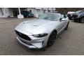 2019 Mustang GT Premium Convertible #3