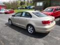 2013 Jetta TDI Sedan #10