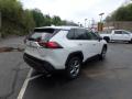 2019 RAV4 Limited AWD Hybrid #2
