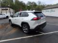 2019 RAV4 Limited AWD Hybrid #3