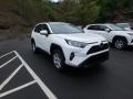 Front 3/4 View of 2019 Toyota RAV4 XLE AWD #1