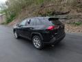 2019 RAV4 XLE AWD #3 2019 RAV4 XLE AWD #3