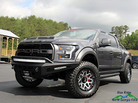 Magnetic Ford F150 Shelby BAJA Raptor SuperCrew 4x4.  Click to enlarge.