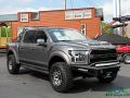 Front 3/4 View of 2019 Ford F150 Shelby BAJA Raptor SuperCrew 4x4 #7