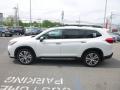 2019 Ascent Touring #7