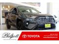 2019 RAV4 XSE AWD Hybrid #1 2019 RAV4 XSE AWD Hybrid #1