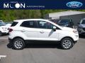 2019 EcoSport SE 4WD #1